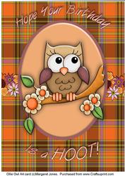 Ollie Owl A4 Card