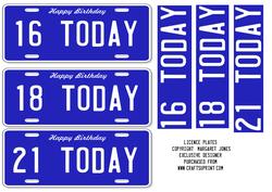 Birthday Licence Plates 16, 18, 21