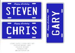 Licence Plates 5 - Steven Chris Gary