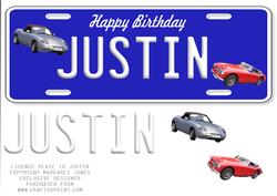 Large Dl Name Licence Plate 10 - Justin