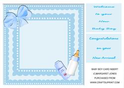 Insert for Baby Boy1 8 x 8 Card