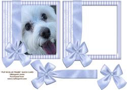 Pup in Blue Frame
