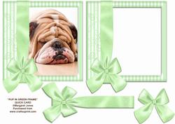 Dog in Green Frame 8x8