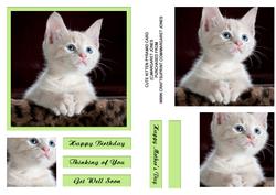 Cute Kitten Pyramid Card - Many Occasions
