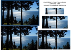 Natures Beauty - Fundy Trail National Park, NB, Canada