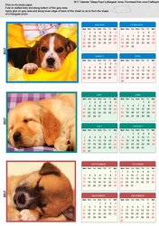 Sleepy Pups 2107 Triangle Desk Calendar