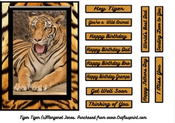 Tiger, Tiger