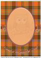 Insert for Ollie Owl A4 Card Cup482219_601