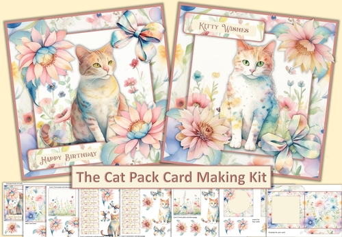 Cat Cards Pack of Two with Decoupage, Inserts and envelope