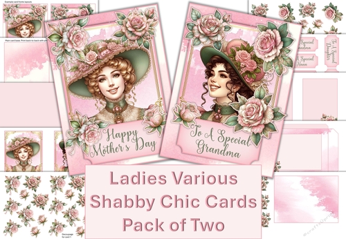 Ladies Various Shabby Chic Cards Pack of Two with inserts and envelopes