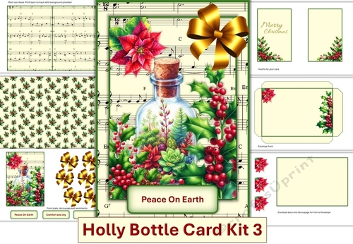 Holly Bottle Card Kit 3 with inserts, decoupage, sentiments and envelope. JPEG