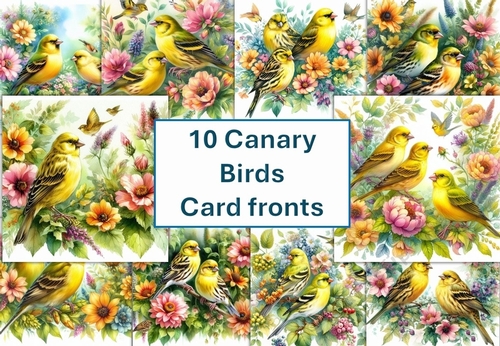 10 Canary Bird Card Fronts 8x8inches JPEG