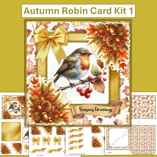 Autumn Robin Card Kit 1 with main card base, decoupage and envelope