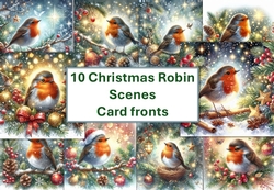 10 Sparkling Christmas Robin Scenes Card Fronts 8x8 inches JPEG
