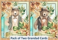 Grandad Cards Pack of Two. Quick and Easy