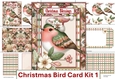 Christmas Bird Card Making Kit JPEGS and PDF with envelope