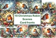 10 Sparkling Christmas Robin Scenes Card Fronts 8x8 inches JPEG