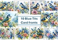 10 Blue Tits Bird Card Fronts 8x8inches JPEG