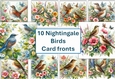 10 Nightingale Bird Card Fronts 8x8inches JPEG