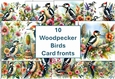10 Woodpecker Bird Card Fronts 8x8inches JPEG