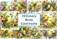 10 Canary Bird Card Fronts 8x8inches JPEG