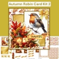 Autumn Robin Card Kit 2 with main card base, decoupage and envelope