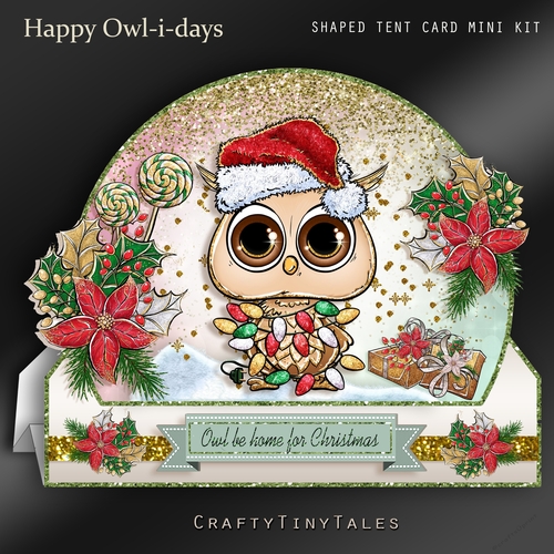 Happy Owl-i-days Shaped Tent Card Kit-2