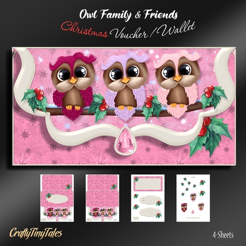 Owl Family and Friends Christmas Voucher-4