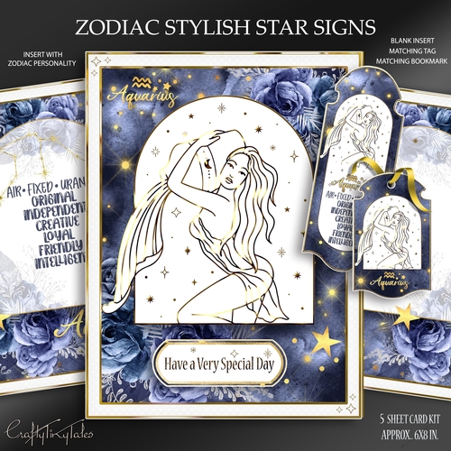 Zodiac Stylish Star Signs Aquarius