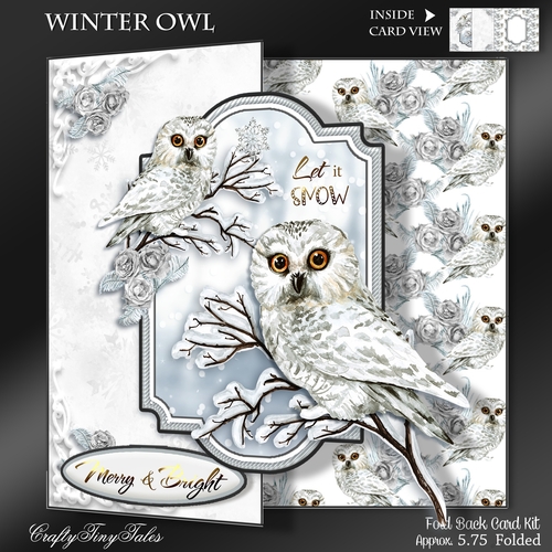 Winter Owl Fold Back Card Kit-2