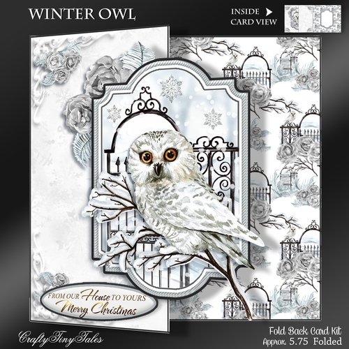 Winter Owl Fold Back Card Kit-3