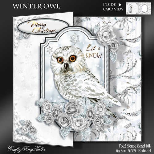 Winter Owl Fold Back Card Kit-4