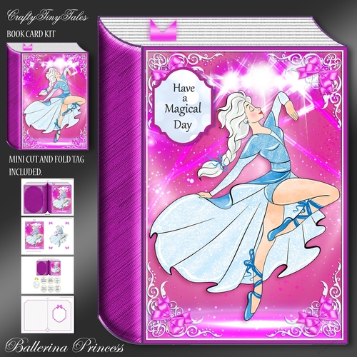 Hot Pink Princess Ballerina Book-2