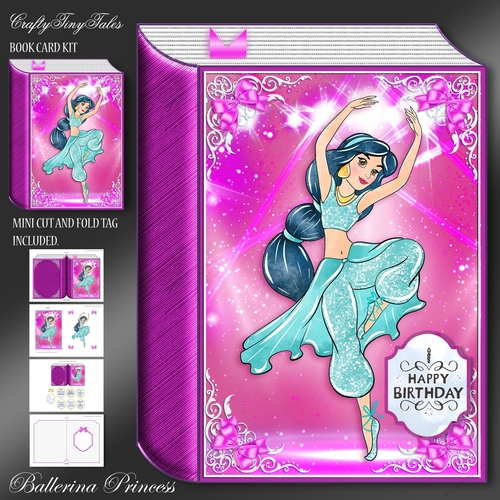 Hot Pink Princess Ballerina Book-6