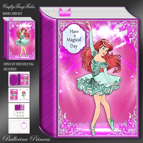 Hot Pink Princess Ballerina Book-7