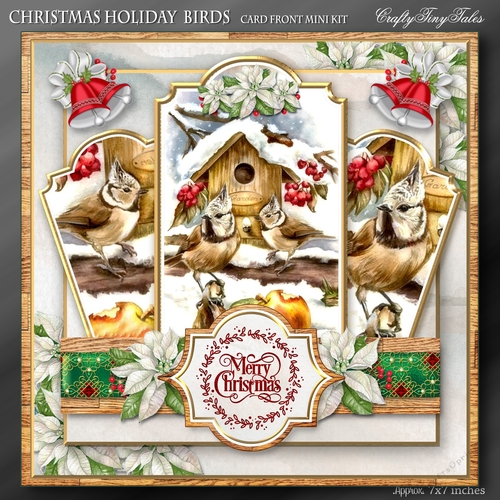 Christmas Holiday Birds Kit-2