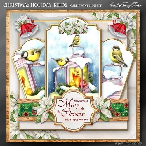 Christmas Holiday Birds Kit-4