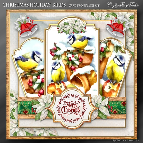 Christmas Holiday Birds Kit-6