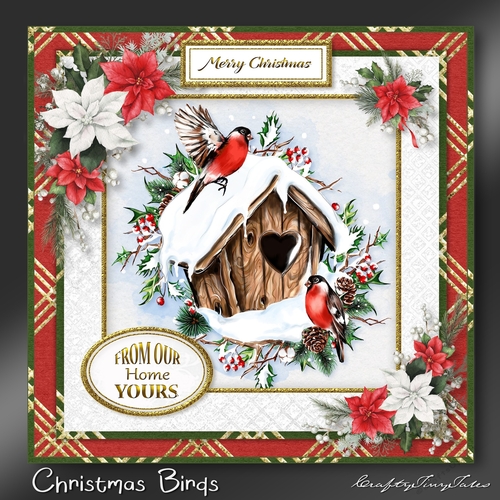 CHRISTMAS BIRDS Kit-2
