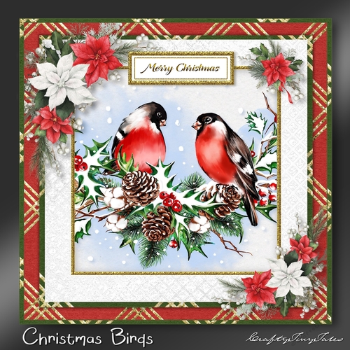 CHRISTMAS BIRDS Kit-3