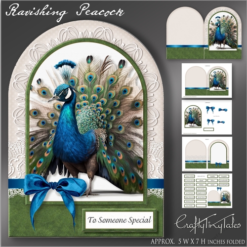 Ravishing Peacock Shaped Card Kit-1