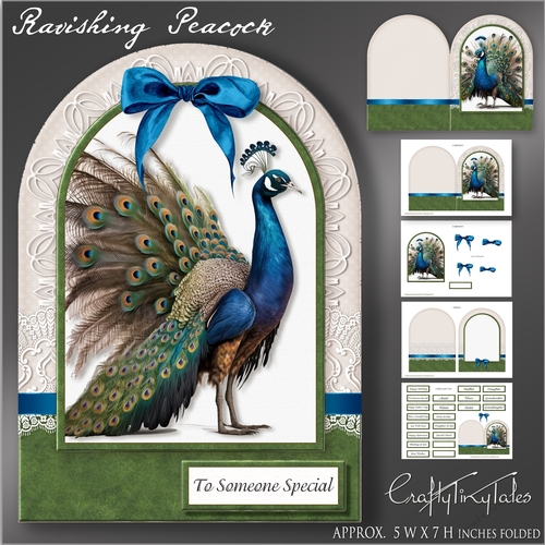 Ravishing Peacock Shaped Card Kit-3