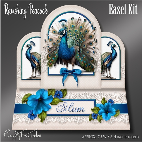 Ravishing Peacock Easel Kit