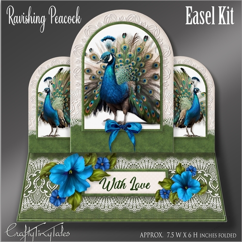 Ravishing Peacock Easel Kit-2