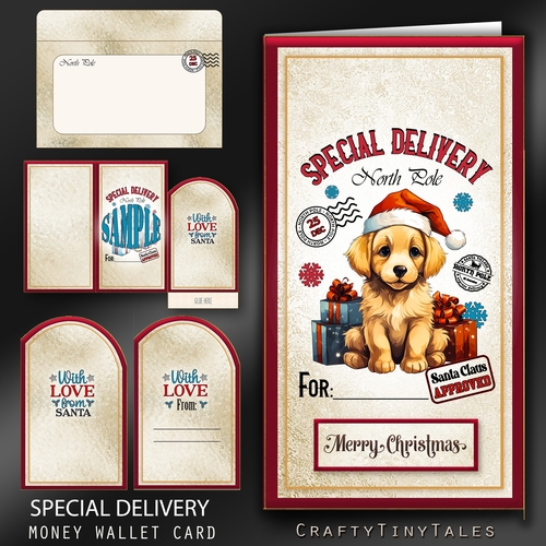 Special Delivery Money Card Kit-6