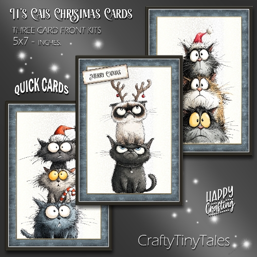 Its Cats Christmas Cards Kit-2
