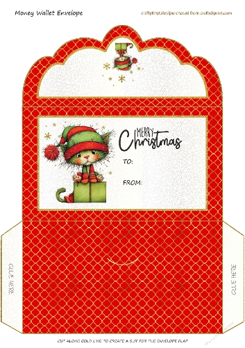 Money Wallet Envelope-11