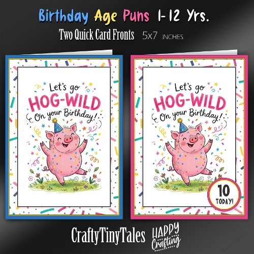 Birthday Age Puns Card Fronts Kit-7