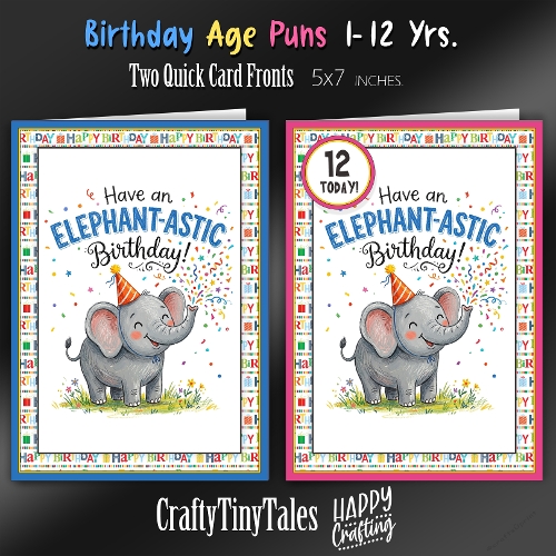 Birthday Age Puns Card Fronts Kit-12