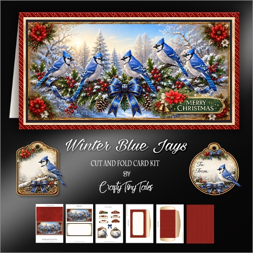 Winter Blue Jays Cut-And-Fold Card-K3